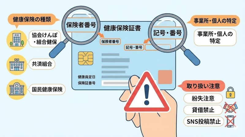 4.保険証の色以外で分かる情報と見方のポイント